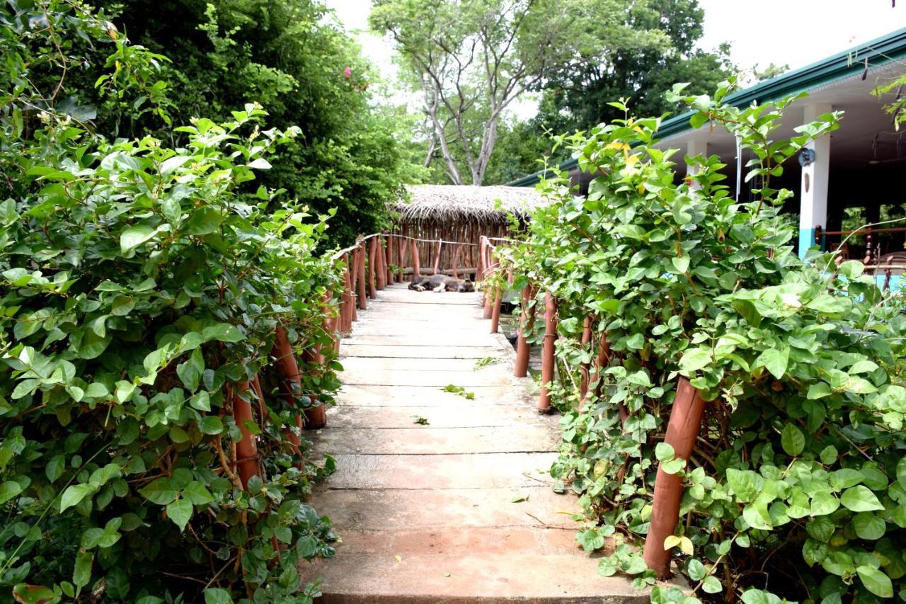 Hungry Lion Resort Sigiriya Bagian luar foto