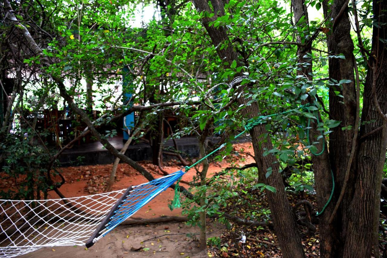 Hungry Lion Resort Sigiriya Bagian luar foto