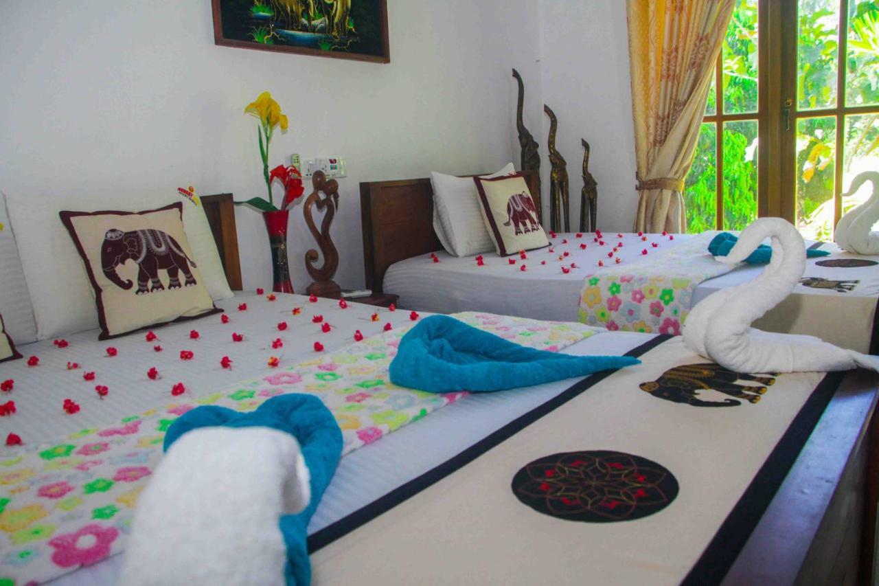 Hungry Lion Resort Sigiriya Bagian luar foto